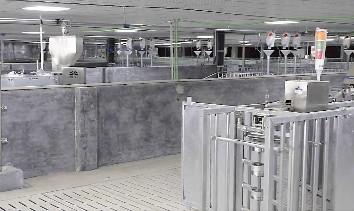 物聯(lián)網(wǎng)畜禽養(yǎng)殖工程案例 物聯(lián)網(wǎng)畜禽養(yǎng)殖工程案例